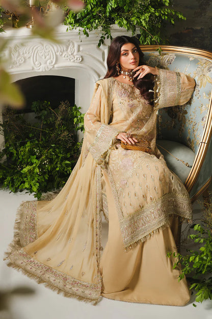 Amber | PARAS BY PASHA