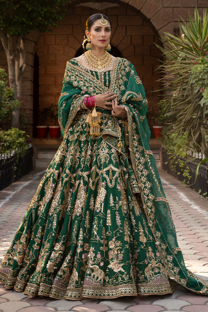 Nazneen | MNR